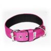 El Perro Juicy Triple 40 mm Fast halsband Wonder Collars