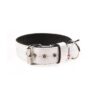 El Perro Juicy Triple 40 mm Fast halsband Wonder Collars