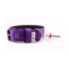 El Perro Juicy Triple 40 mm Fast halsband Wonder Collars