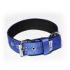 El Perro Juicy Triple 40 mm Fast halsband Wonder Collars