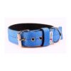 El Perro Juicy Triple 40 mm Fast halsband Wonder Collars