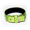 El Perro Juicy Triple 40 mm Fast halsband Wonder Collars