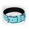 El Perro Juicy Triple 40 mm Fast halsband Wonder Collars