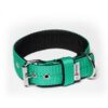 El Perro Juicy Triple 40 mm Fast halsband Wonder Collars