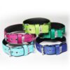 El Perro Juicy Triple 40 mm Fast halsband Wonder Collars