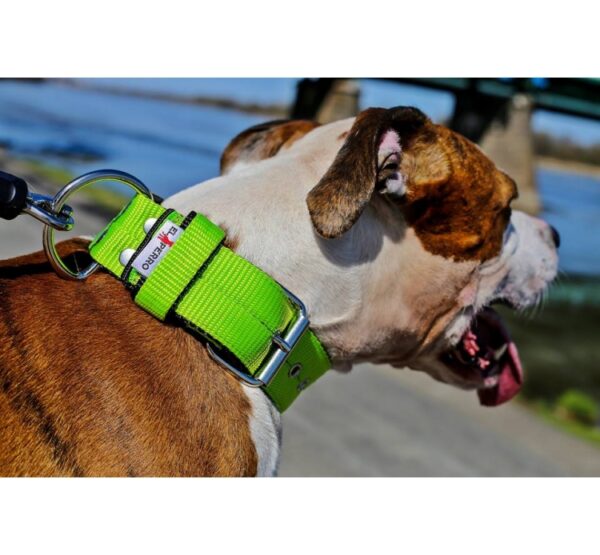 El Perro Juicy Triple 40 mm Fast halsband Wonder Collars