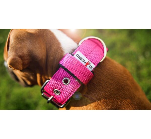 El Perro Juicy Triple 40 mm Fast halsband Wonder Collars