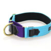 Wild Woof Martingale 40 mm Halsband Wonder Collars