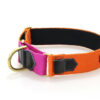 Wild Woof Martingale 40 mm Halsband Wonder Collars