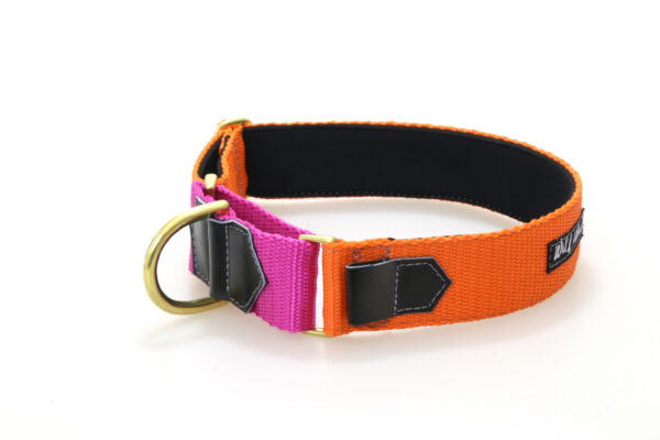 Wild Woof Martingale 40 mm Halsband Wonder Collars