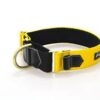 Wild Woof Martingale 40 mm Halsband Wonder Collars