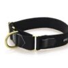 Wild Woof Martingale 40 mm Halsband Wonder Collars