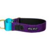 Wild Woof Martingale 40 mm Halsband Wonder Collars