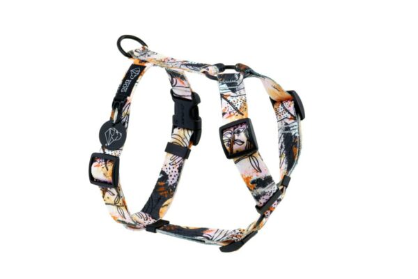 Warsaw Dog Y-sele 15 mm Selar Wonder Collars