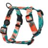 Warsaw Dog Y-sele 15 mm Selar Wonder Collars