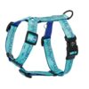 Warsaw Dog Y-sele 15 mm Selar Wonder Collars