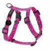 Warsaw Dog Y-sele 15 mm Selar Wonder Collars