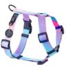 Warsaw Dog Y-sele 15 mm Selar Wonder Collars