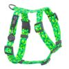 Warsaw Dog Y-sele 15 mm Selar Wonder Collars