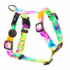 Warsaw Dog Y-sele 15 mm Selar Wonder Collars