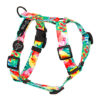 Warsaw Dog Y-sele 15 mm Selar Wonder Collars