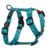 Warsaw Dog Y-sele 15 mm Selar Wonder Collars