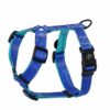 Warsaw Dog Y-sele 20 mm Selar Wonder Collars