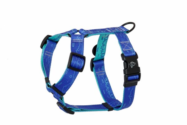 Warsaw Dog Y-sele 20 mm Selar Wonder Collars