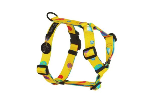 Warsaw Dog Y-sele 20 mm Selar Wonder Collars