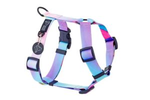 Y-sele Selar Wonder Collars