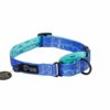 Warsaw Dog Martingale 25 mm Halsband Wonder Collars