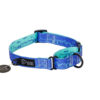 Warsaw Dog Martingale 25 mm Halsband Wonder Collars