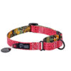 Warsaw Dog Martingale 25 mm Halsband Wonder Collars