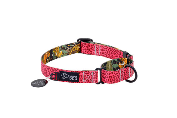 Warsaw Dog Martingale 25 mm Halsband Wonder Collars