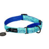 Warsaw Dog Martingale 25 mm Halsband Wonder Collars