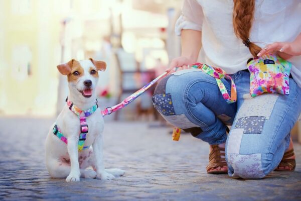 Warsaw Dog Godisväska Godisväskor Wonder Collars