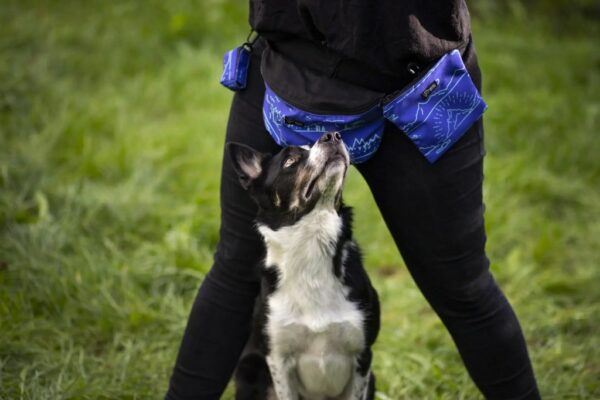 Warsaw Dog Bajspåse Väska Tillbehör Wonder Collars