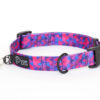 Warsaw Dog Duraflex ® Buckle 25 mm Halsband Wonder Collars