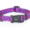 Warsaw Dog Duraflex ® Buckle 25 mm Halsband Wonder Collars