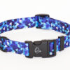 Warsaw Dog Duraflex ® Buckle 25 mm Halsband Wonder Collars