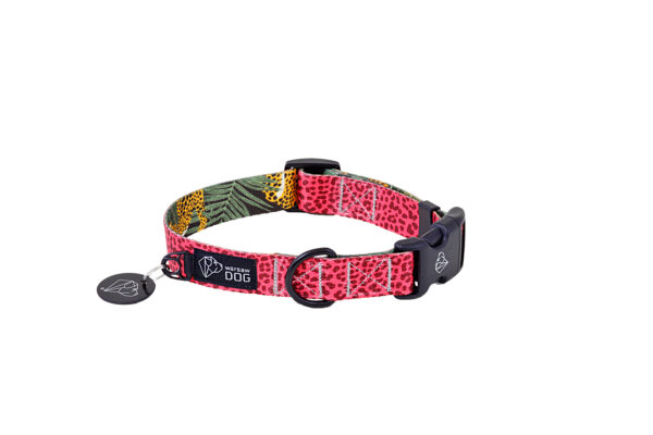 Warsaw Dog Duraflex ® Buckle 50 mm Halsband Wonder Collars