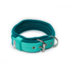 El Perro Halsband 40 mm Halsband Wonder Collars