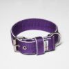 El Perro Halsband 40 mm Halsband Wonder Collars