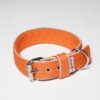 El Perro Halsband 40 mm Halsband Wonder Collars