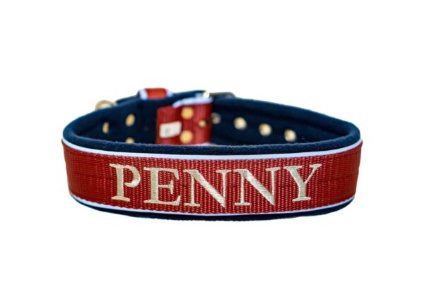 El Perro Halsband 40 mm Halsband Wonder Collars