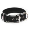 El Perro Halsband 40 mm Halsband Wonder Collars