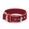 El Perro Halsband 40 mm Halsband Wonder Collars