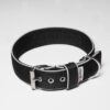 El Perro Halsband 40 mm Halsband Wonder Collars