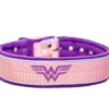 El Perro Halsband 40 mm Halsband Wonder Collars