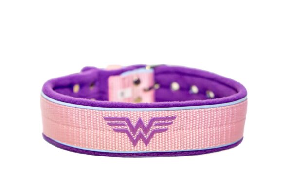 El Perro Halsband 40 mm Halsband Wonder Collars